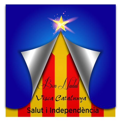 Bones festes i bon any 2015!